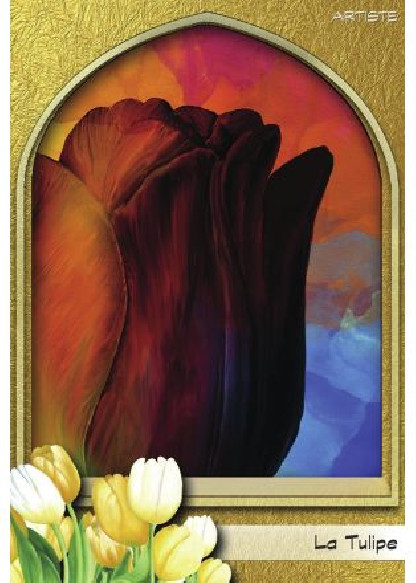 L'oracle du peuple végétal (26.00€ TTC)