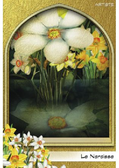 L'oracle du peuple végétal (26.00€ TTC)