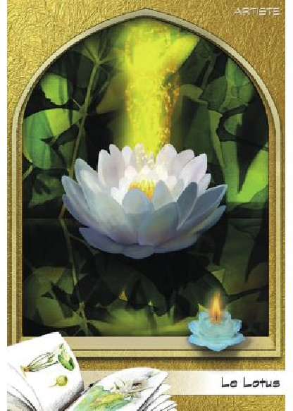 L'oracle du peuple végétal (26.00€ TTC)
