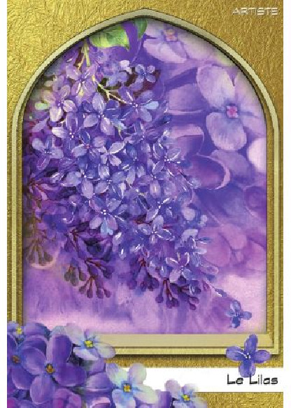 L'oracle du peuple végétal (26.00€ TTC)
