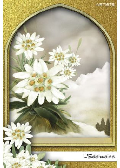 L'oracle du peuple végétal (26.00€ TTC)