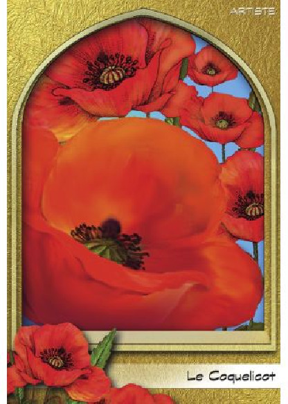 L'oracle du peuple végétal (26.00€ TTC)