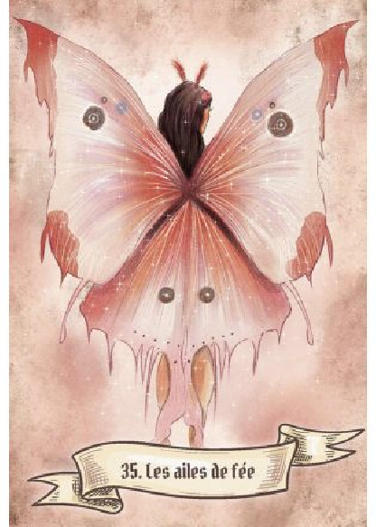 L'Oracle des fées et des lutins (26.00€ TTC)